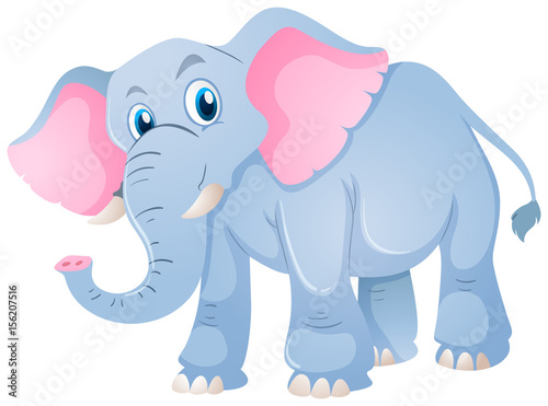 Blue elephant on white background