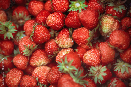 Many strawberries shot from the top photo