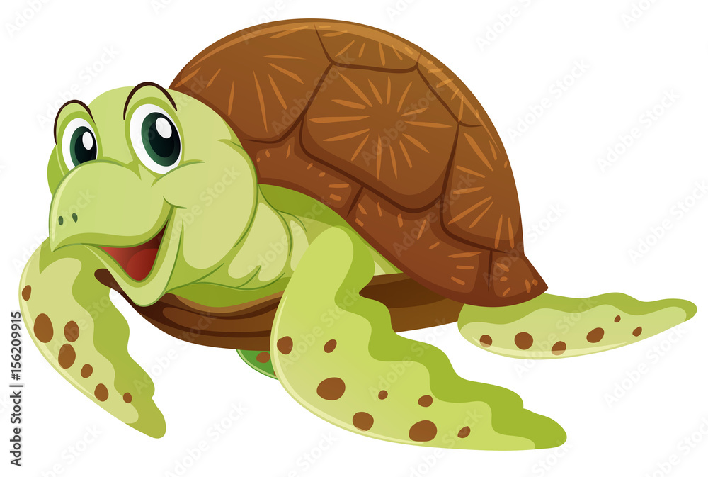 Obraz premium Sea turtle on white background
