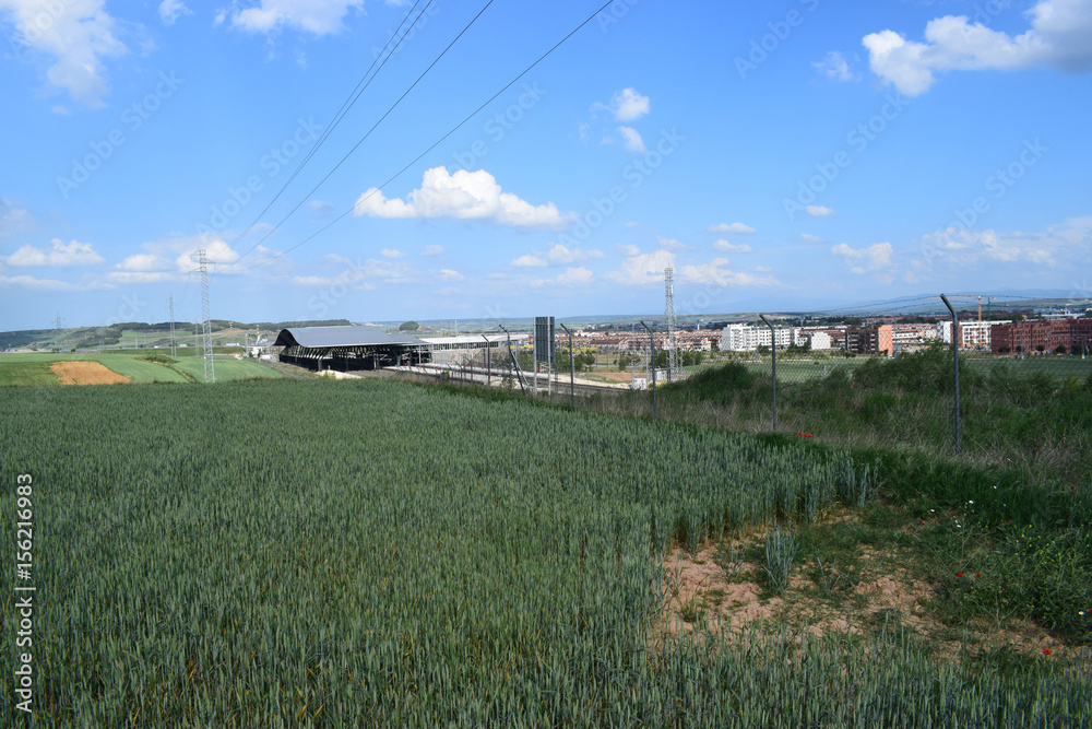 Paisajes de campos y cielos en verano.