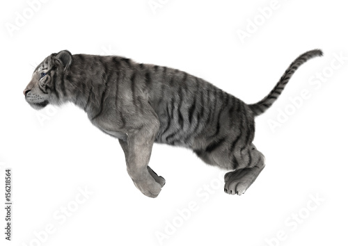 Fototapeta Naklejka Na Ścianę i Meble -  3D Rendering White Tiger on White