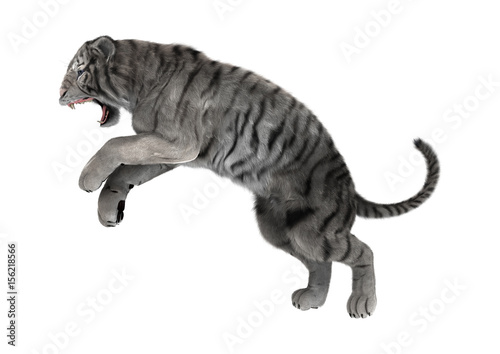 Fototapeta Naklejka Na Ścianę i Meble -  3D Rendering White Tiger on White