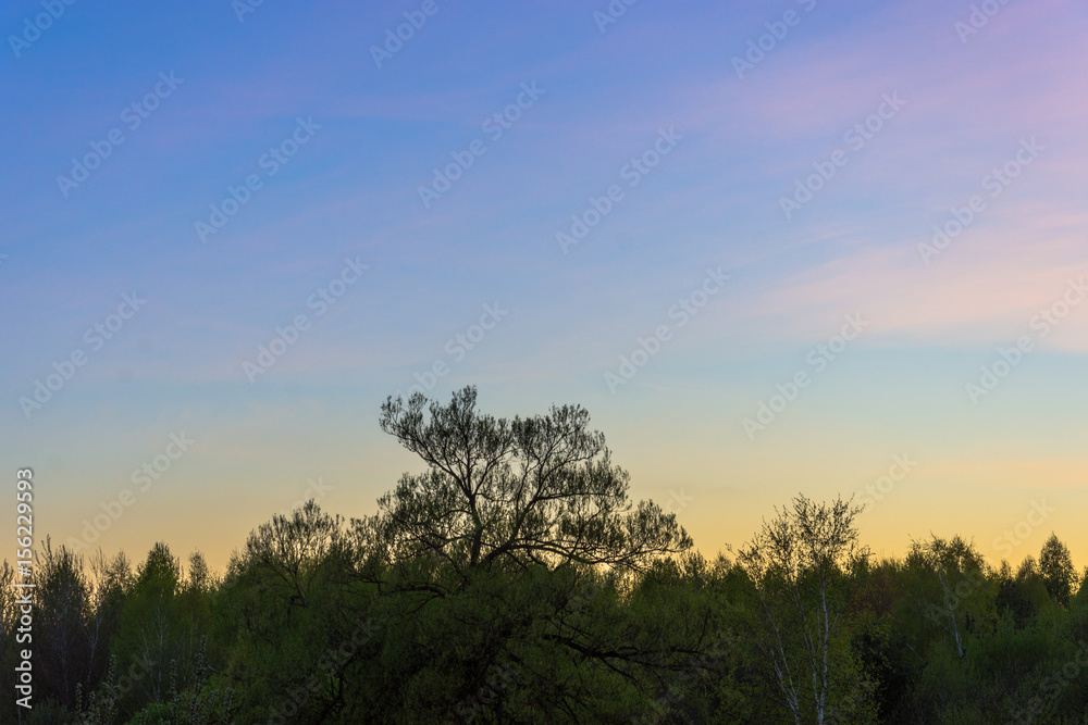 landscape landscape