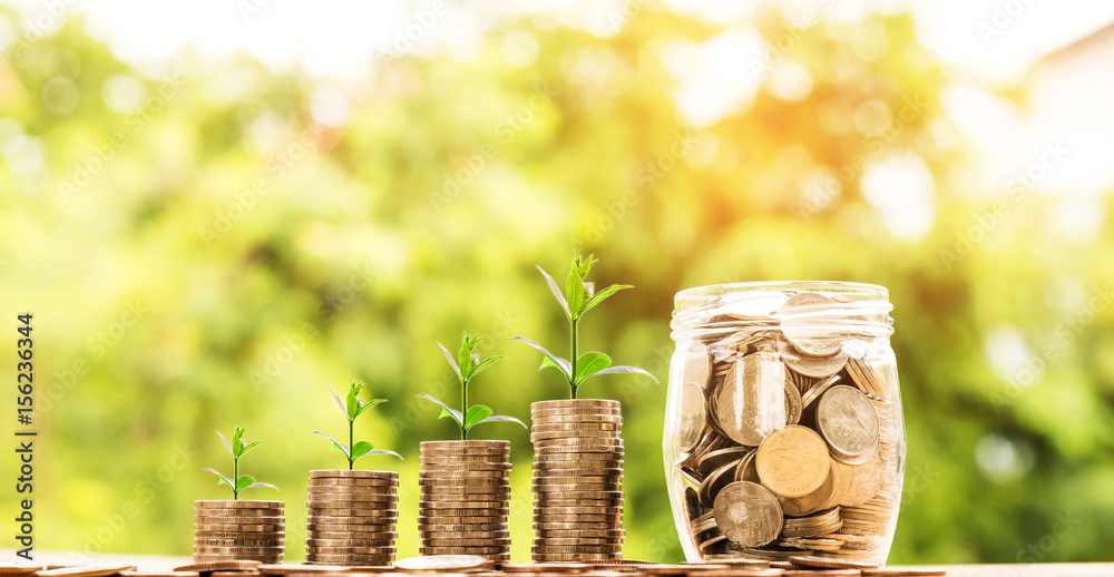 Money Business success growing concept, Trees on pile of coins money and coins in jar over sun flare silhouette tone.