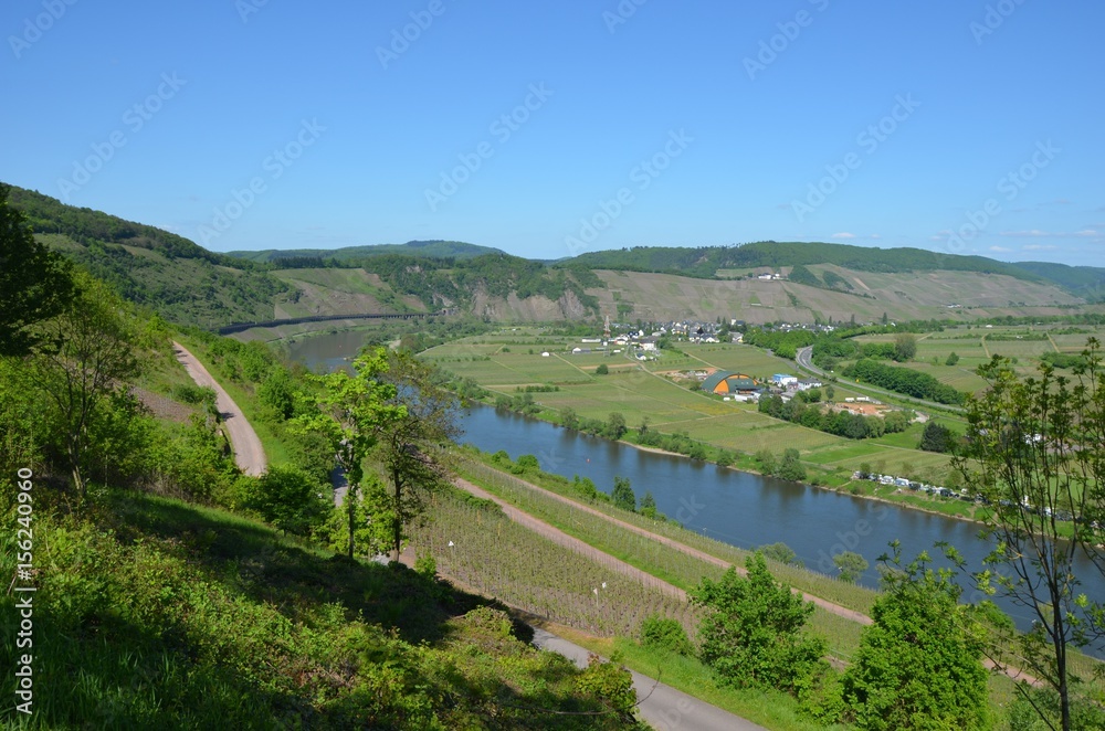 Fototapeta premium Mosel bei Piesport