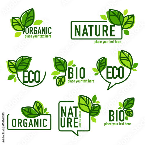 doodle organic leaves emblems, elements,  frames and logo photo