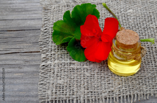 Fototapeta Naklejka Na Ścianę i Meble -  Geranium essential oil in a glass bottle with flower and leaf of the geranium plant on wooden background.Geranium oil for spa,aromatherapy and bodycare.Extract oil of geranium.Selective focus.