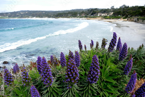 Big Sur: Carmel by the Sea Strand