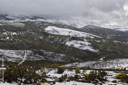 Mountain with trees and snow on a stormy day © César Torres