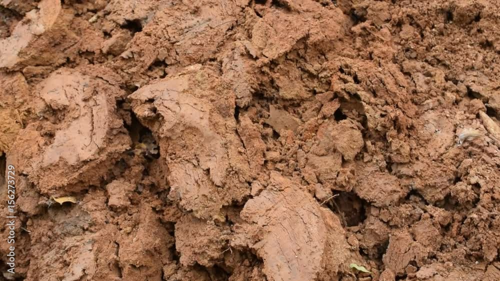 Brown clayey background with clods of clay. Brown clayey background with clods of clay.