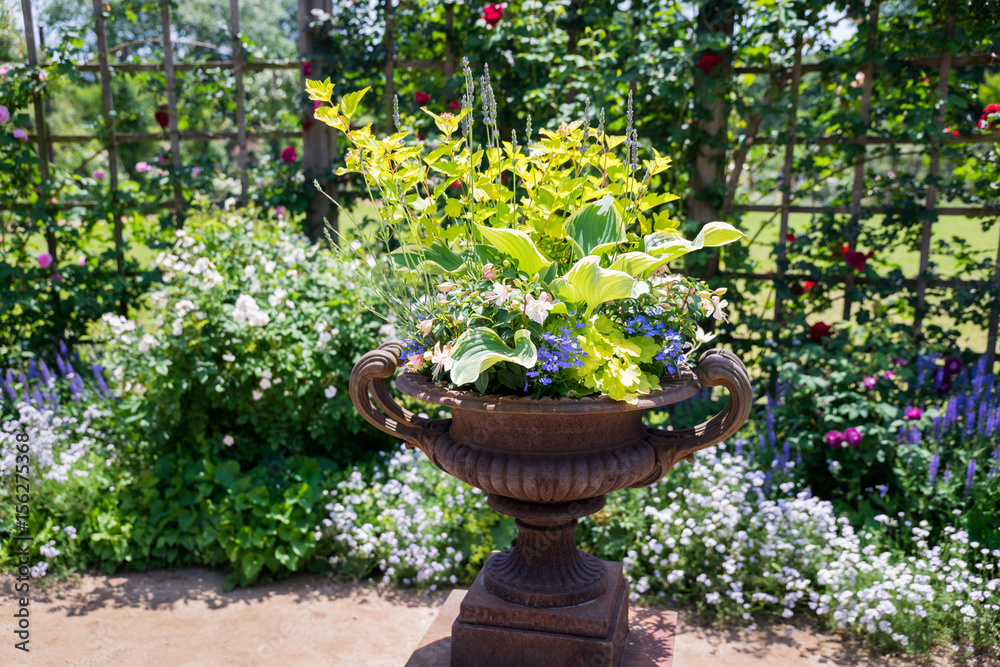 花の寄せ植え