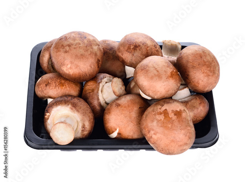 Shiitake mushrooms isolated on the white background