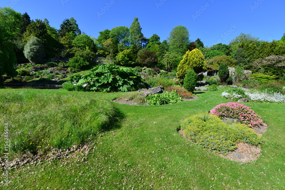 Fototapeta premium A public rock garden in Brighton, Sussex on a spring morning.