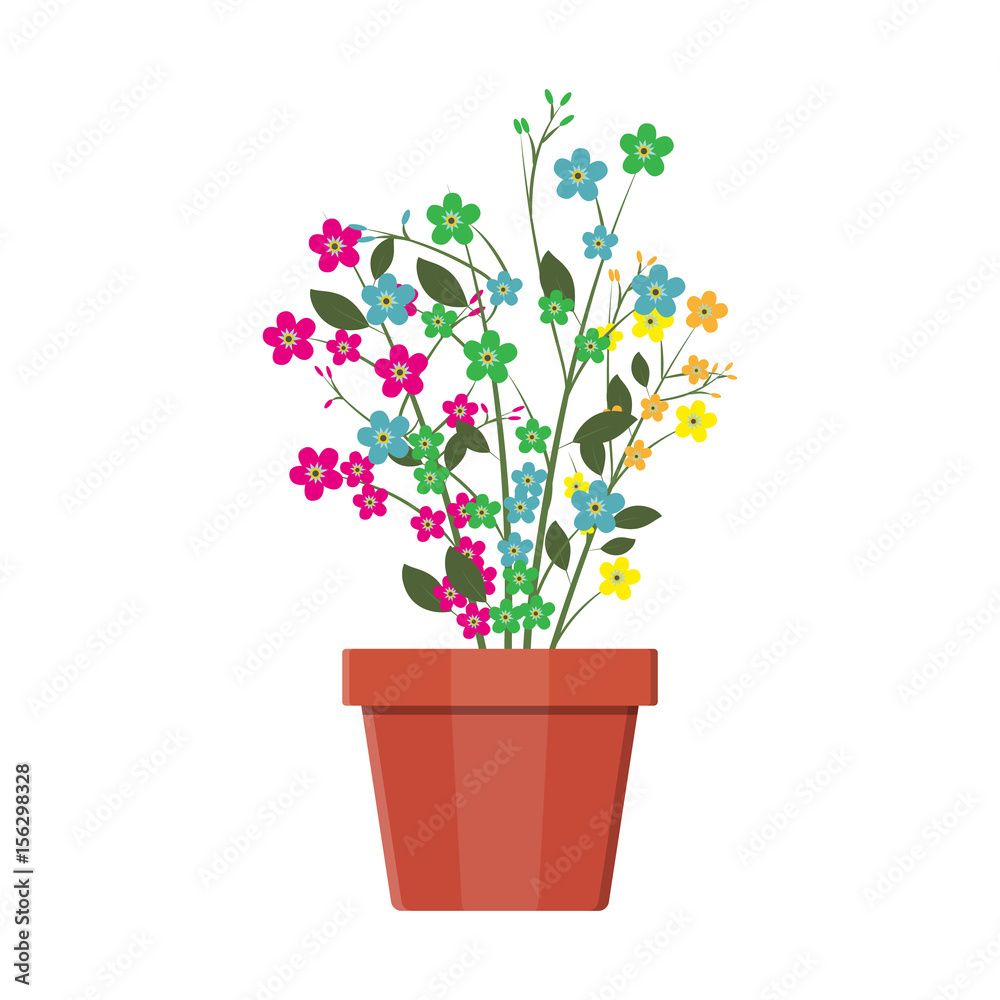 Flower plant in flower pot. Decoration home plant.