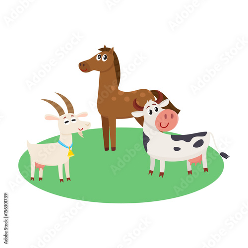 Farm horse  cow and goat grazing upon the green pasture  cartoon vector illustration isolated on white background. Cute and funny farm horse  goat  cow with friendly faces and big eyes
