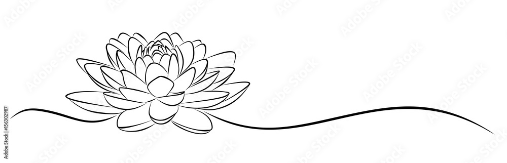 lotus Sketch. 