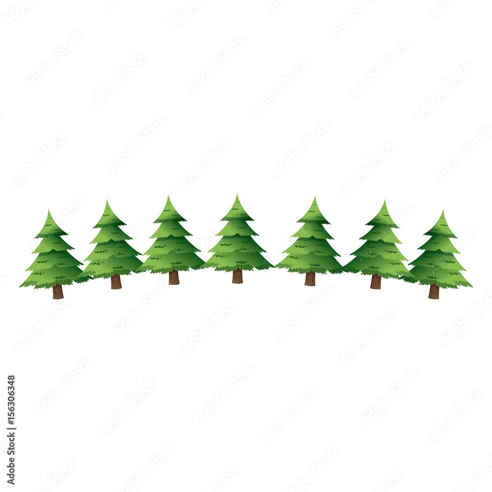 pine tree for christmas decoration ornament vector illustration