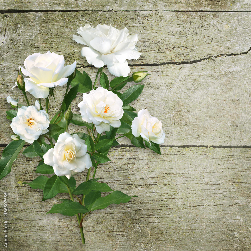 Bouquet of white roses on an old rough wooden background