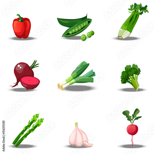 set with fresh healty vegetables
