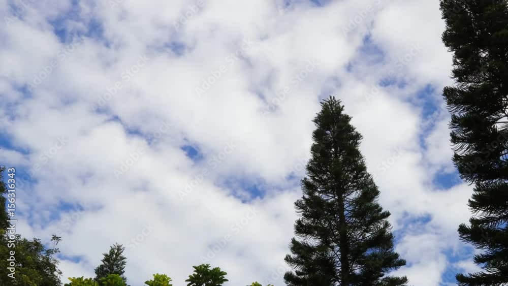 Céu azul com nuvens. Céu azul com nuvens.