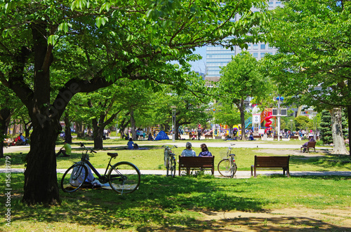 Fototapeta Naklejka Na Ścianę i Meble -  different ways of enjoying a park in Tokyo, Japan