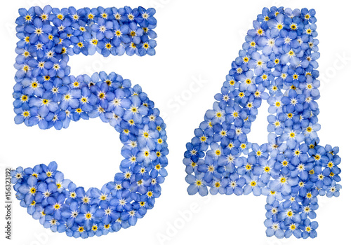 Arabic numeral 54, fifty four, from blue forget-me-not flowers photo