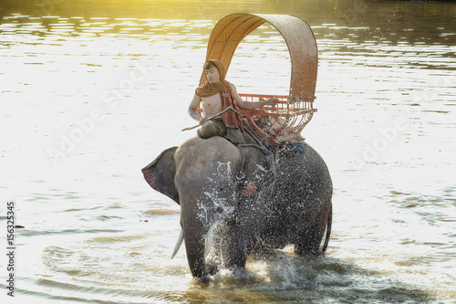 Canvas Print Elephant and mahout