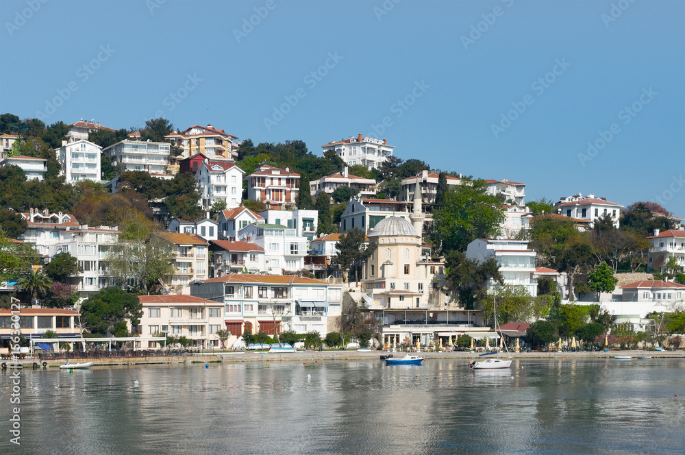 View of Burgazada island from the sea with summer houses and a small mosque. the island is the third largest one of four islands named Princes' Islands in the Sea of Marmara, near Istanbul, Turkey