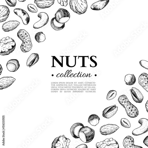 Nuts vector vintage frame illustration. Hand drawn engraved food objects.