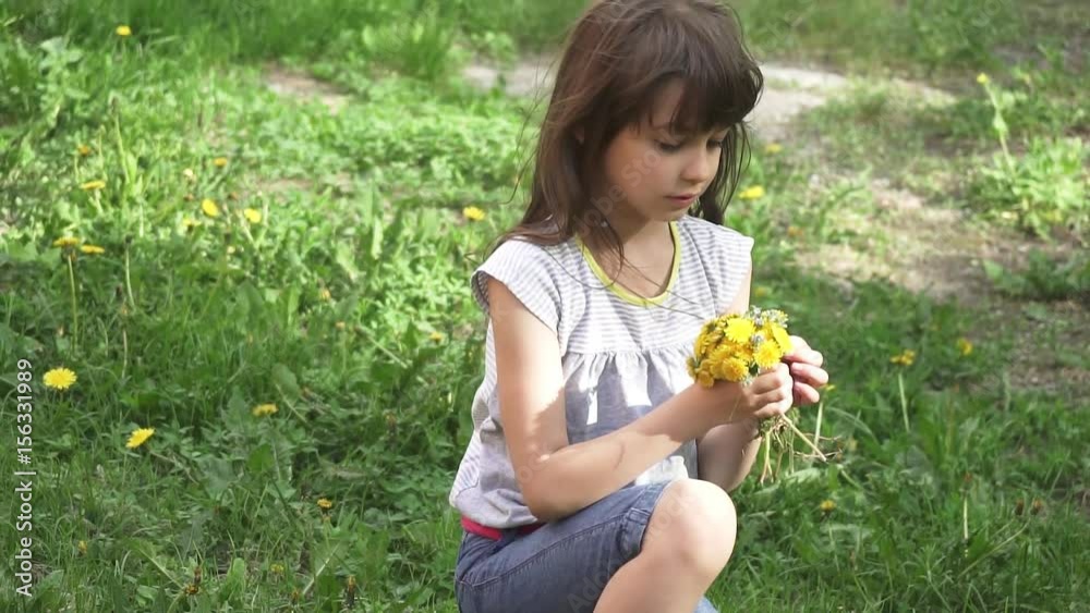 Little girl collects a bouquet of dandelions in a meadow. child smelling bouquet of dandelions Little girl collects a bouquet of dandelions in a meadow. child smelling bouquet of dandelions