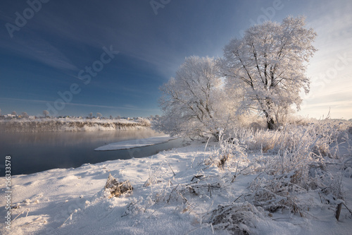 Obraz na płótnie A Real Russian Winter. Morning Frosty Winter Landscape With Dazzling White Snow And Hoarfrost,River And Saturated Blue Sky. Foggy River Bank With Frost-Covered Trees And Crispy Reeds In The Frost.
w salonie