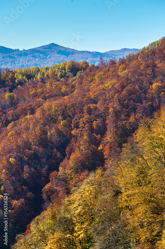autumn landscape in the mountains © chirnoagarazvan