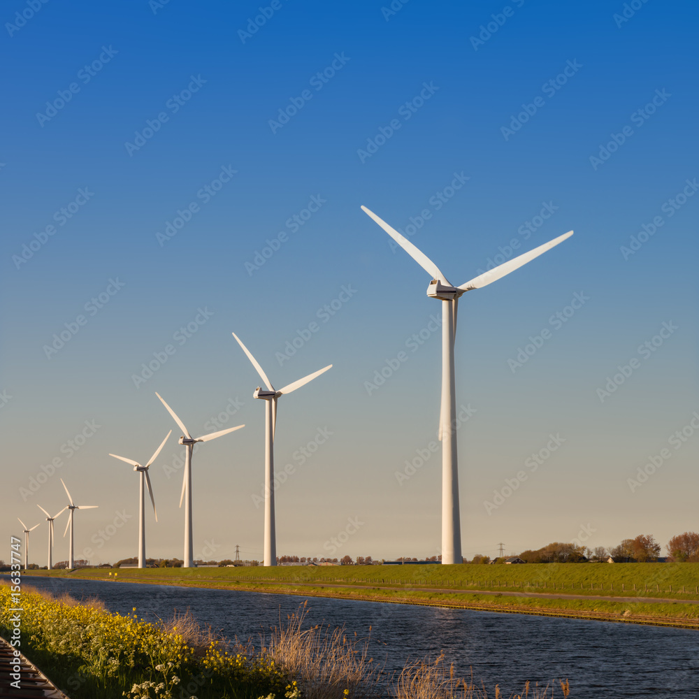 Group of windmills for electric power production in the Netherlands Group of windmills for electric power production in the Netherlands