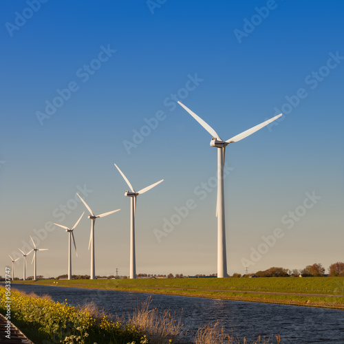 Wallpaper Mural Group of windmills for electric power production in the Netherlands Torontodigital.ca