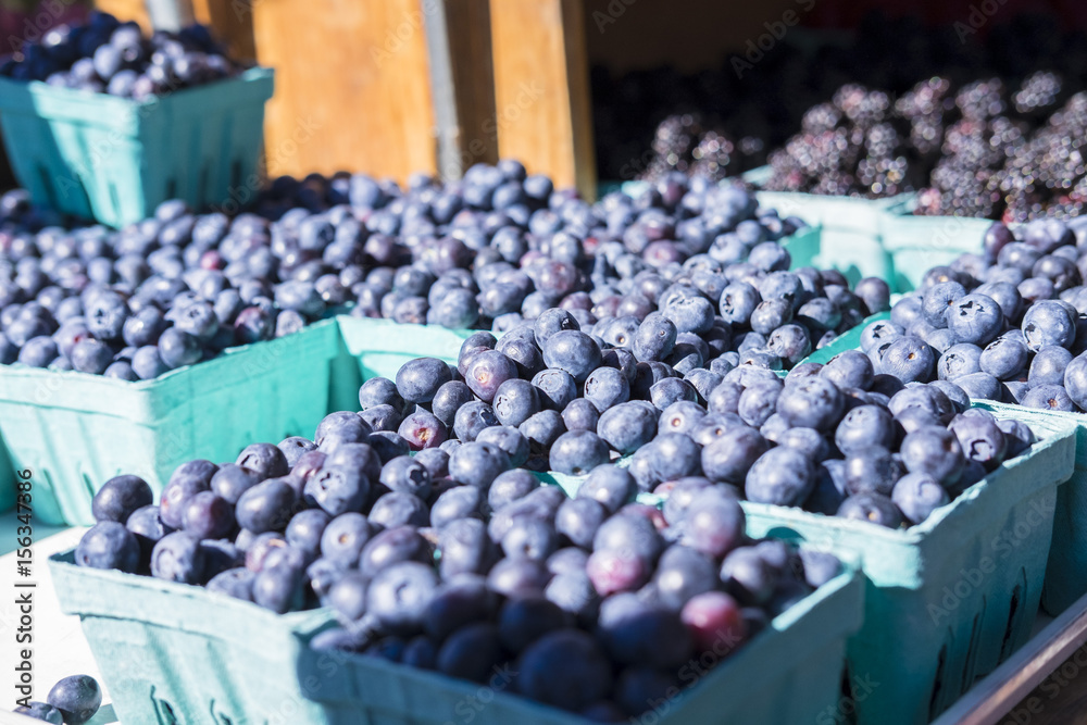 custom made wallpaper toronto digitalMarket Blueberries 2