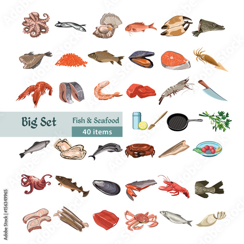 Hand Drawn Colorful Seafood Set