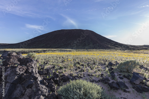 Amboy Crater volcanic mount...