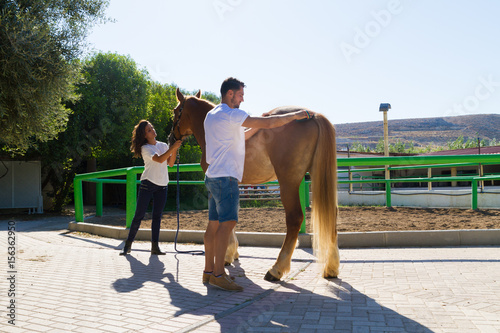Attractive young couple grooming a brown female horse.