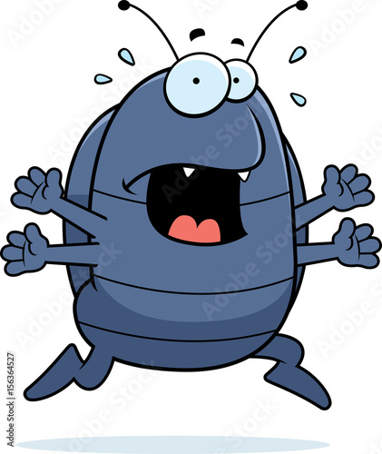 Pill Bug Panic