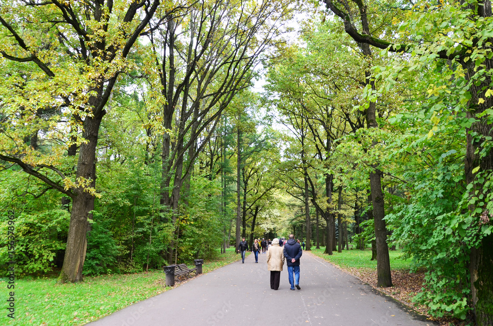 people walk