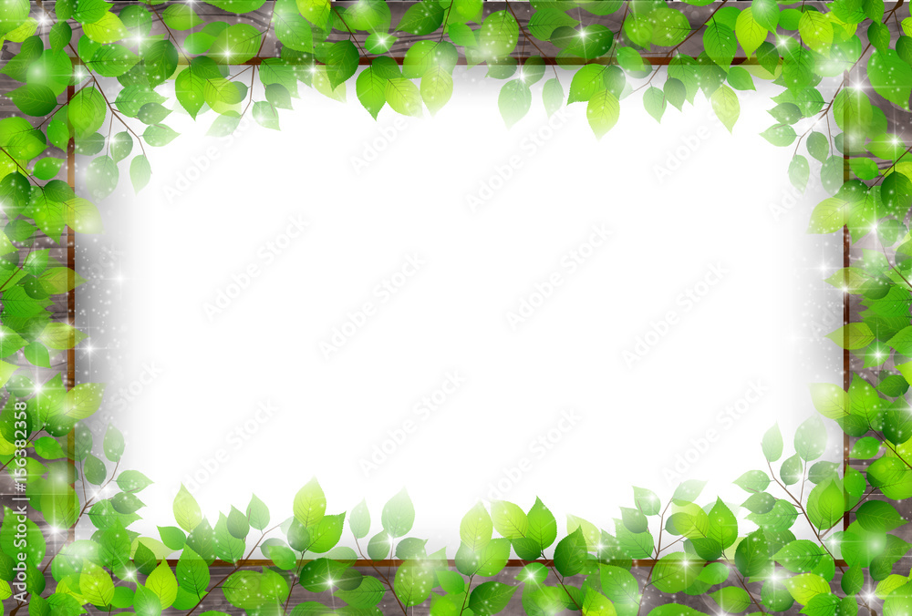 Fototapeta premium 新緑 葉 フレーム 背景