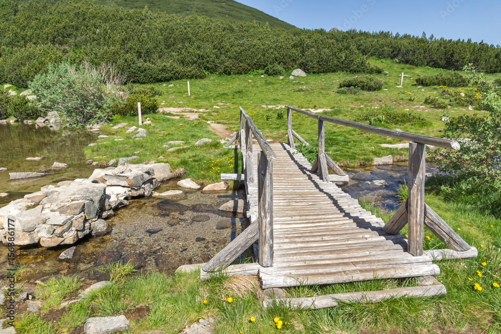 Landscape with wooden bridge over river in Pirin Mountain near Bezbog lake, Bulgaria Landscape with wooden bridge over river in Pirin Mountain near Bezbog lake, Bulgaria