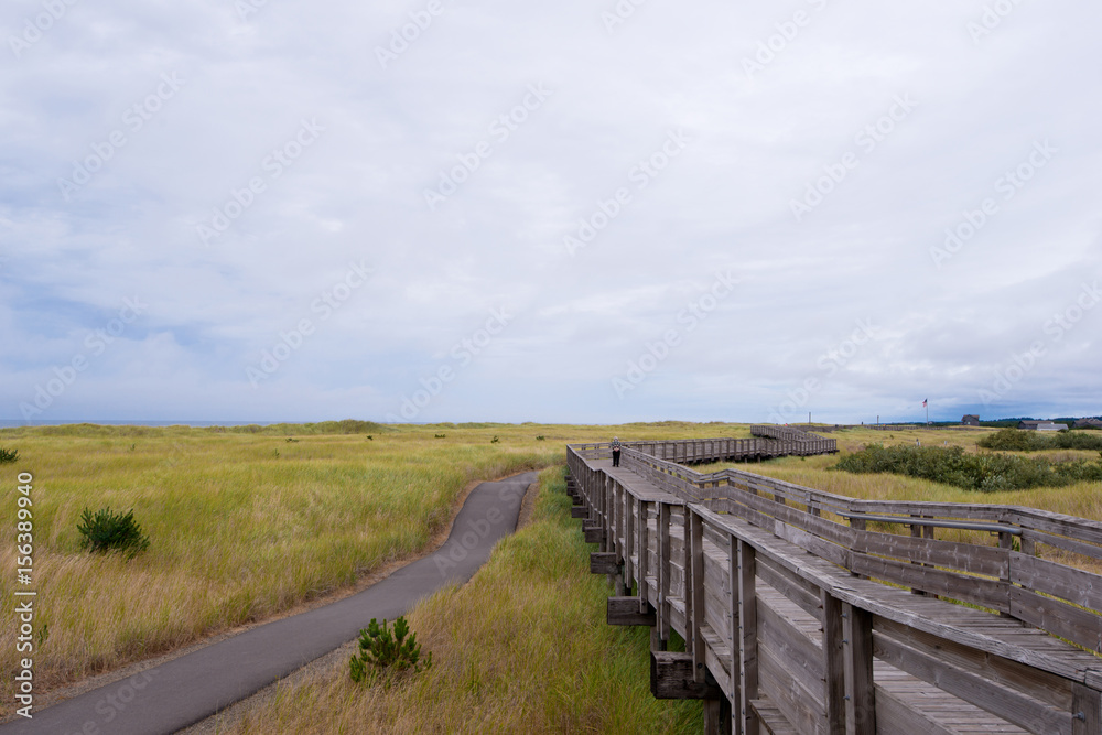 Wooden pier surrounded by grass for walking along the ocean