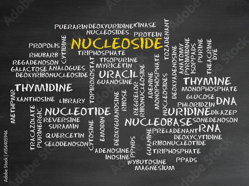 Nucleoside photo