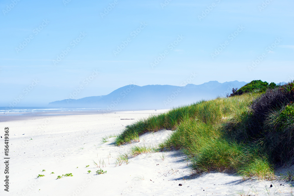 Deserted beach of Pacific Ocean in west Oregon Garibaldi with green grass and shrubs of fine sand