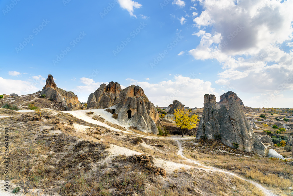 Fototapeta premium Cave houses in Goreme national park. Cappadocia. Turkey