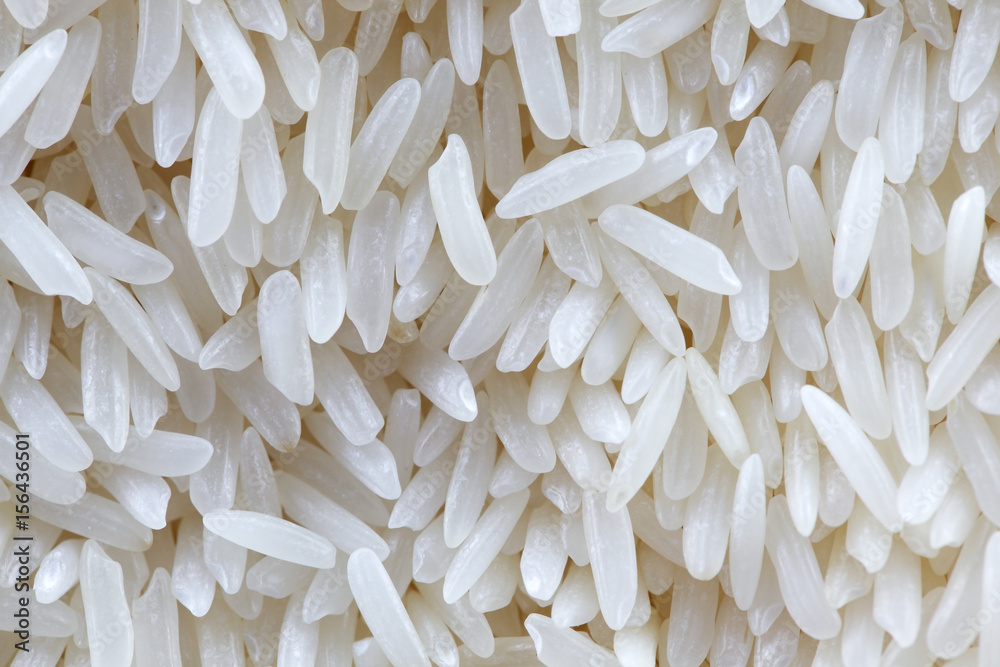 background of white polished rice grain background of white polished rice grain