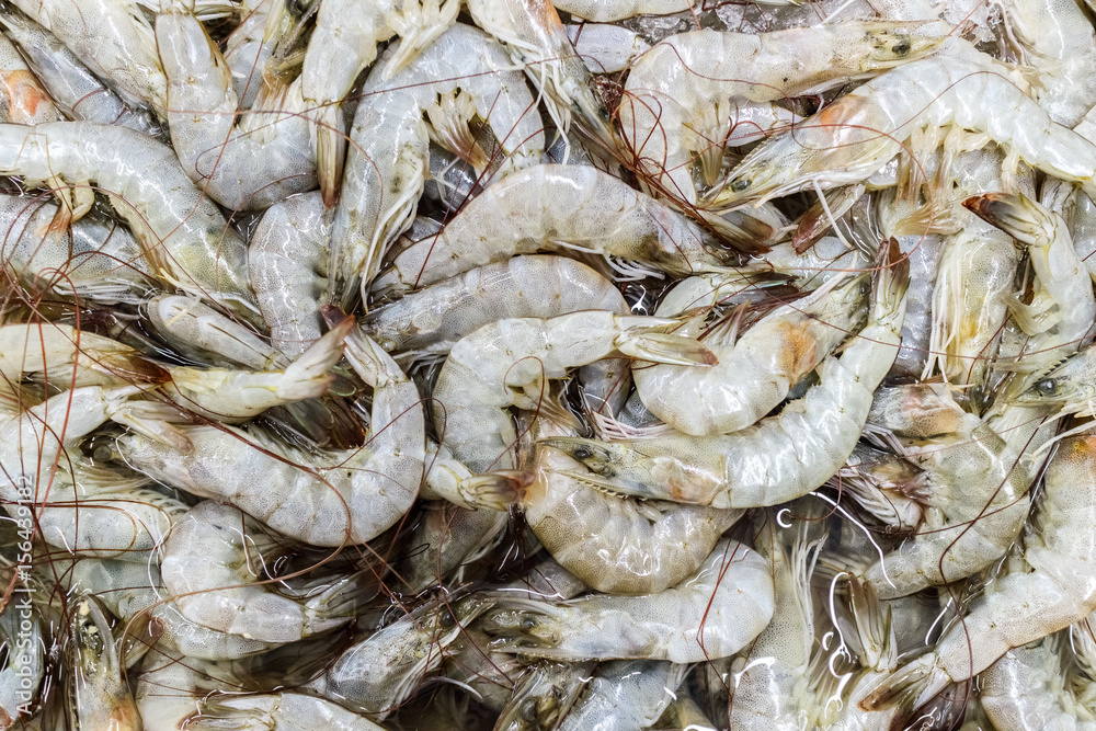 full frame, shrimp in market full frame, shrimp in market