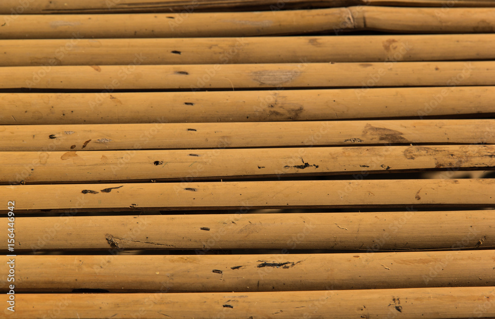 Bamboo background Bamboo background