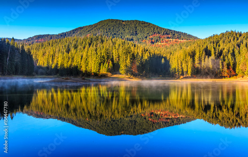 mountain lake on foggy morning in spruce forest